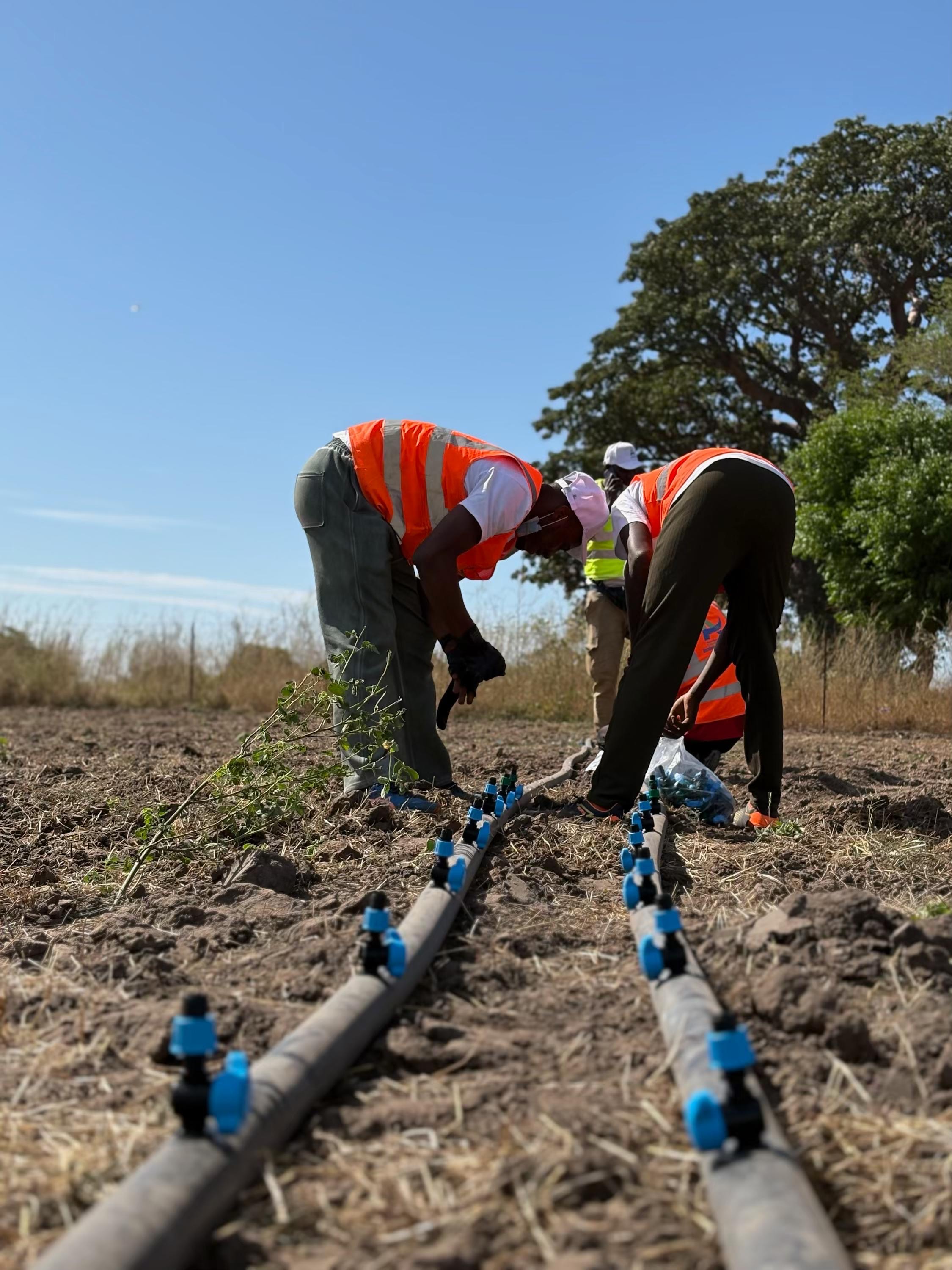 Agriculture - Culture et production